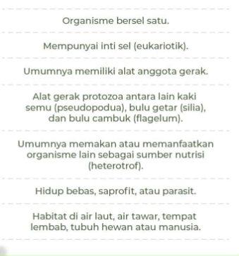 Ciri-Ciri Protista Mirip Hewan (Protozoa)