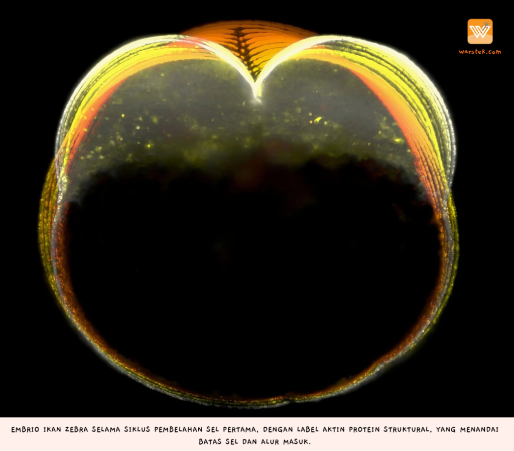 Screenshot 2026-01-27 132541